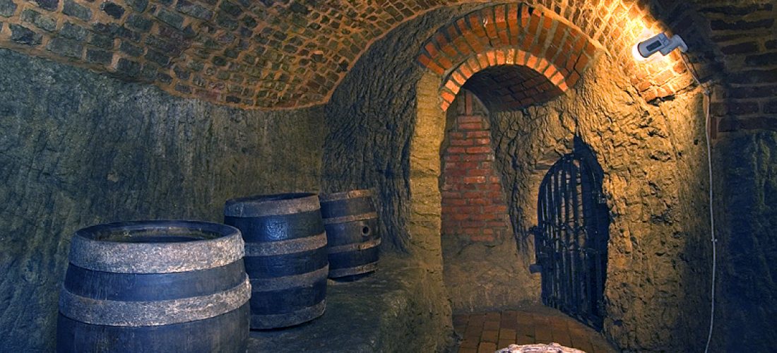 Prohlídka Plzeňského historického podzemí 19km